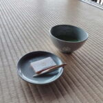 Kumamoto: Castles, Shrines, Gardens & a Taste of Tradition - Practicalities and Logistics