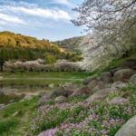 Kumamoto: Samurai Heritage Private Tour with Local Guide - Practical Details and Tips