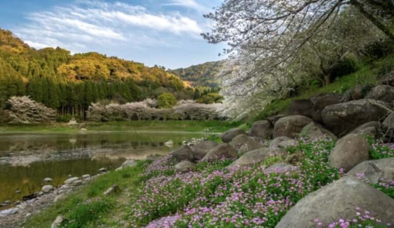 Kumamoto: Samurai Heritage Private Tour with Local Guide - Practical Details and Tips