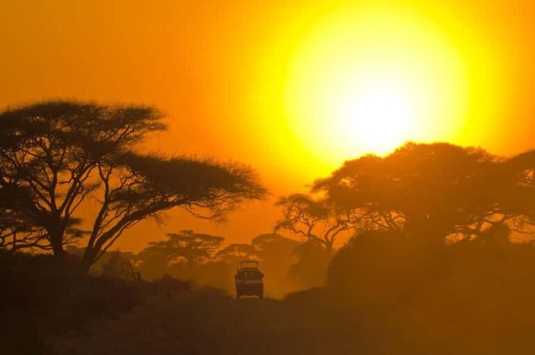 Kumana National Park Half or Full-Day Safari - Who Will Love This Safari?