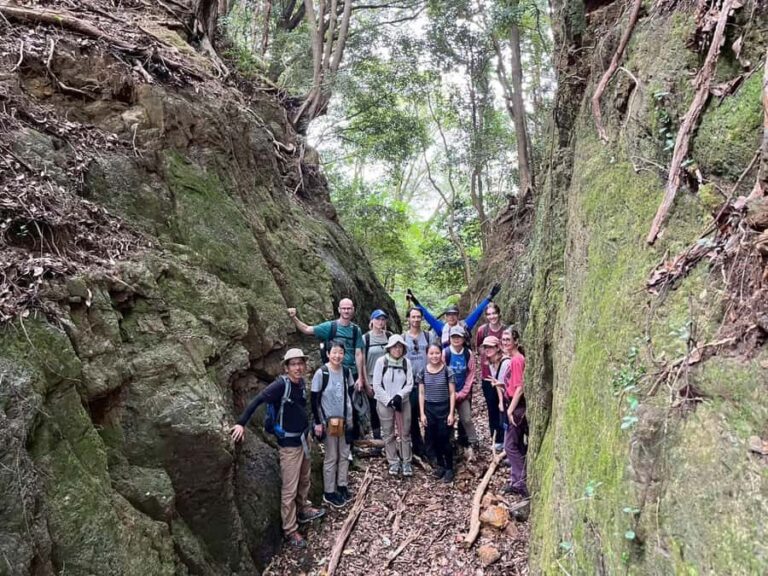 Kumano Kodo: Coastal Pilgrimage Tour with Hot Spring - A Taste of Local Life: Gourmet Burger at Tashinami