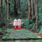 Kumano Kodo Hiking Day Tour from Osaka - The Experience: A Deep Dive into a Sacred Journey
