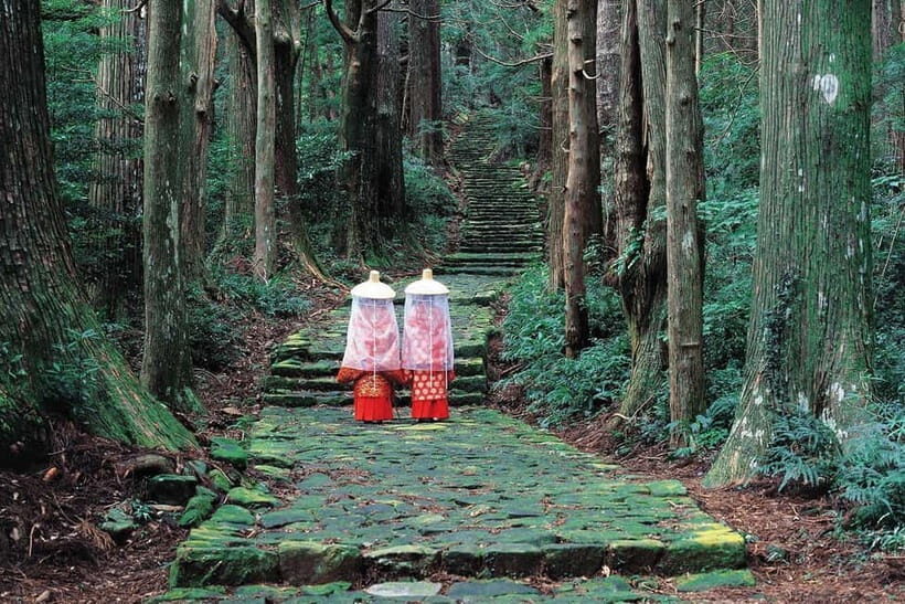 Kumano Kodo Hiking Day Tour from Osaka - The Experience: A Deep Dive into a Sacred Journey