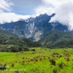 Kundasang : Poring Hot Spring + Desa & Meal Shared Tour - Analyzing the Value