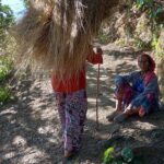 Kunjapuri Day Hike - Authentic Feedback from Travelers