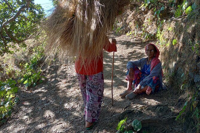 Kunjapuri Day Hike - Authentic Feedback from Travelers