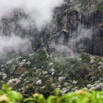 Kunming: Jiaozi (Sedan Chair) Snow Mountain Hiking Day Trip - What’s Included & What’s Not