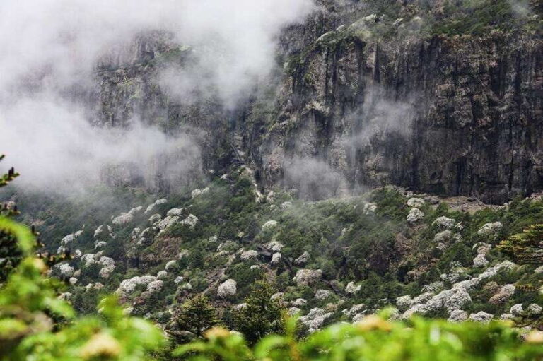 Kunming: Jiaozi (Sedan Chair) Snow Mountain Hiking Day Trip - What’s Included & What’s Not