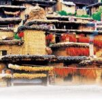 Kunming Private Day Tour to Stone Forest and Chengzi Ancient Town - Practical Details and Overall Value