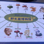 Kunming: Private Tour with Customizable Itinerary - FAQ