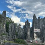 Kunming: Stone Forest & Dianci Lake fishing village tour - The Practical Side: What to Expect