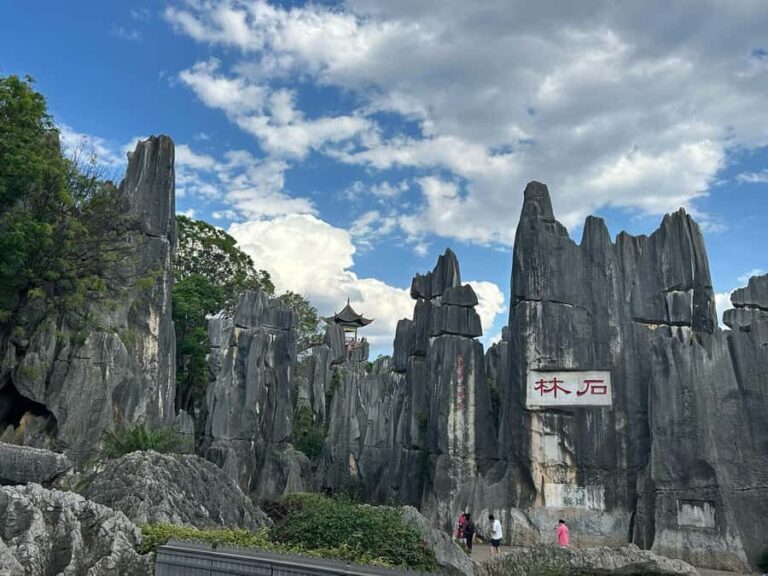 Kunming: Stone Forest & Dianci Lake fishing village tour - The Practical Side: What to Expect
