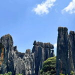 Kunming: Stone Forest, Roast Duck Lunch and City Tour - A Deep Dive into the Experience