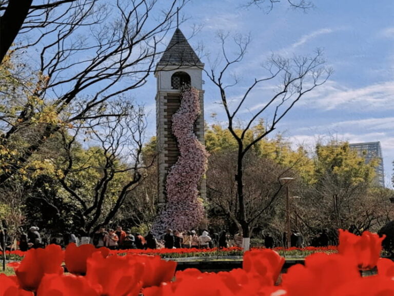 Kunming: Yunnan Military Academy & Kunming Old Town - Why This Tour Offers Great Value