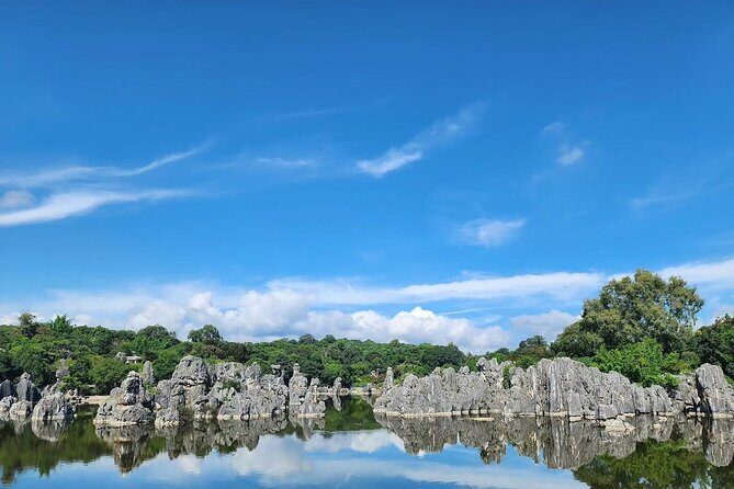 Kunming, Yunnan One Day Tour to Stone Forest Scenic Area - Detailed Review of the Tour Experience