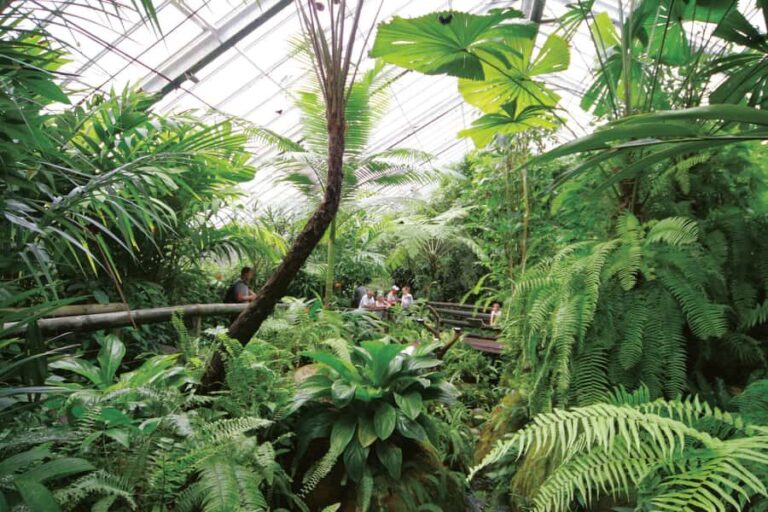 Kuranda: Australian Butterfly Sanctuary - Who Will Love This Experience?