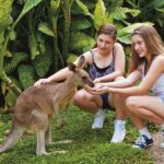 Kuranda Koala Gardens Park Entry - Why Visit Kuranda Koala Gardens?