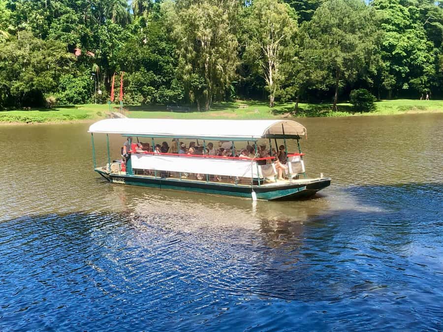 Kuranda: Riverboat Tour - Practical Details: Transportation, Timing, and Group Size