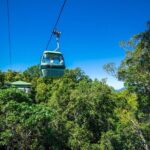 Kuranda Scenic Railway Day Trip from Palm Cove - FAQs