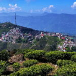 Kurseong: White Orchid Trail Hike with Hotel Pickup - Who Should Consider This Experience?