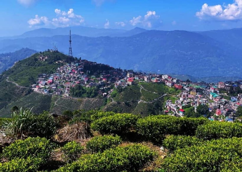 Kurseong: White Orchid Trail Hike with Hotel Pickup - Who Should Consider This Experience?