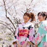 Kyoto: 1 Day:Traditional Japanese Kimono Rental Experience - Authenticity and Value