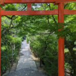 Kyoto: 100% Private Custom Walking Tour (4/8 Hrs) - Detailed Breakdown of the Tour Experience