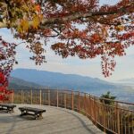 Kyoto Amanohashidate and Ine No Funaya Tour from Osaka - Who Would Love This Tour?
