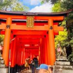 Kyoto and Nara Customised Full Day Private Tour with Pickup - Logistics and Practicalities
