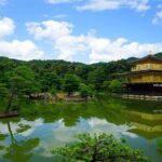 Kyoto and Nara Day Tour from Kyoto - What to Expect and Practical Tips