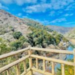 Kyoto and Nara Highlights with English speaking Driver and Guide - An In-Depth Look at the Tour Itinerary