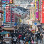 Kyoto and Nara Private Customizable Day Trip by Luxury Car - FAQs