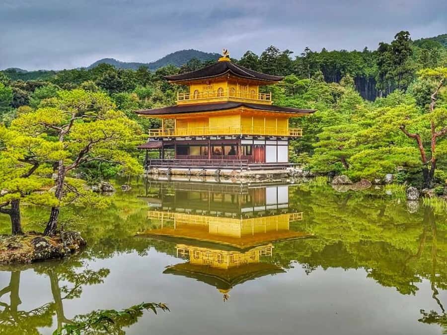 Kyoto and Nara: private tour with English speaking Guide - What the Tour Includes and Why It Matters