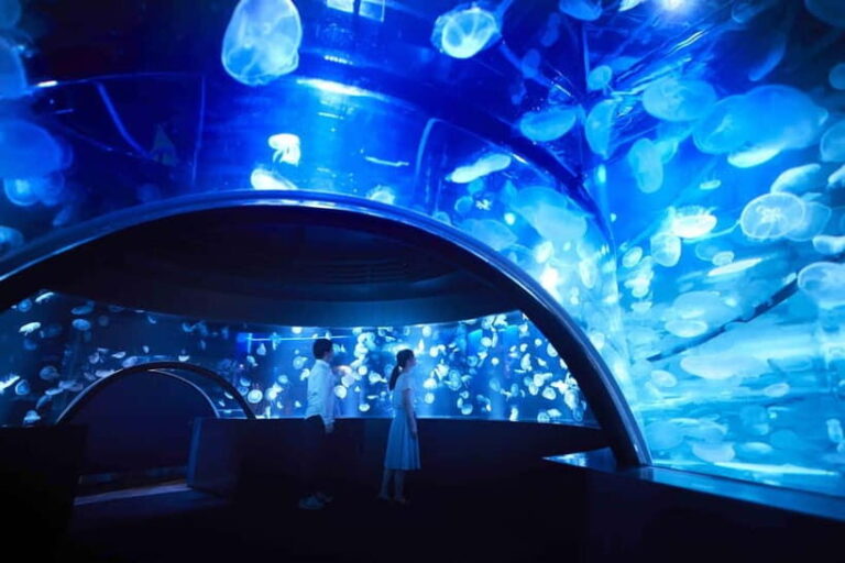 Kyoto Aquarium Admission Ticket - Exploring the Exhibits in Detail