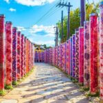 Kyoto Arashiyama and Nara Tour with Sagano Train, Giikawa Honpo - What Travelers Can Expect