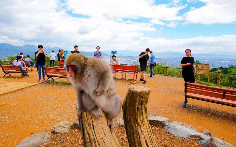 Kyoto: Arashiyama Chopstick Carving Workshop - Who Will Love This Experience?