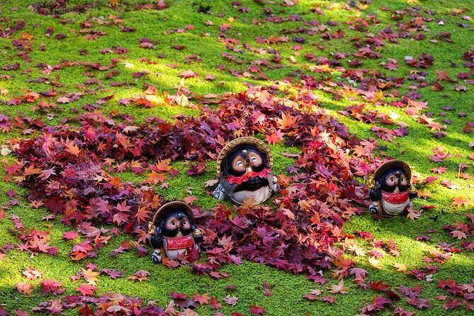 Kyoto Arashiyama Easy Walk Tour - What Travelers Can Expect