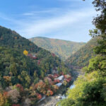 Kyoto: Arashiyama Guided Tour, Bamboo, Monkey, Zen Temple - Exploring the Bamboo Forest Path