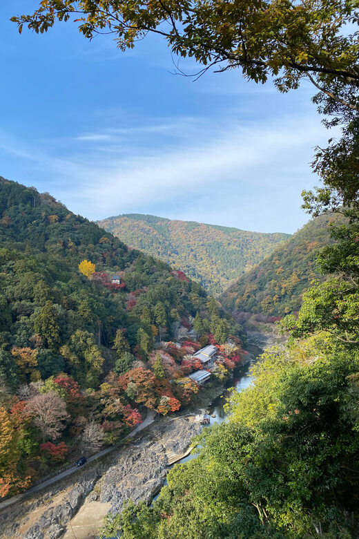 Kyoto: Arashiyama Guided Tour, Bamboo, Monkey, Zen Temple - The Value and Practicalities
