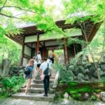 Kyoto Arashiyama tour: Iconic Sights and Hidden Treasures - Who Will Love This Tour?