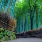 Kyoto: Arashiyama Unveiled Bamboo, Temple, Matcha, & Monkeys - Practical Details and What You’ll Love