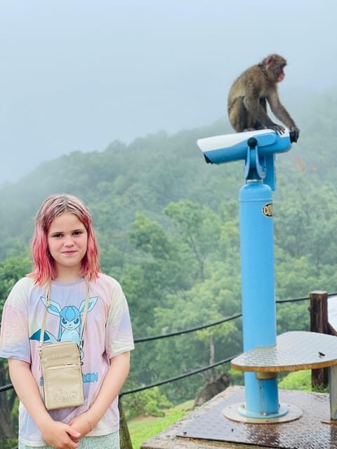 Kyoto Arashiyama Walking Tour: Bamboo Grove, Monkey&Secrets. - What Sets This Tour Apart?