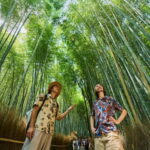 Kyoto: Arashiyama Walking Tour  UNESCO World Heritage - Why This Tour Offers Good Value
