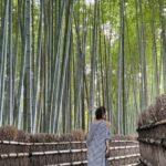 Kyoto: Avoid the Crowds at the Hidden Gems of Arashiyama - Practical Details and Value