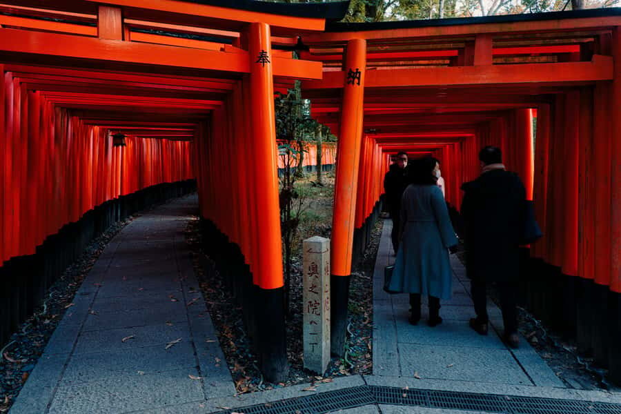 Kyoto: Beat the Crowds "Big 2" Tour (Inari & Arashiyama) - Final Thoughts