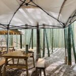 Kyoto Craftsmanship: Bamboo Chopstick Making Workshop - Final Thoughts