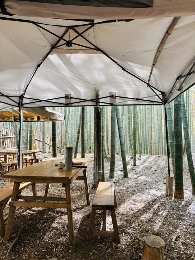 Kyoto Craftsmanship: Bamboo Chopstick Making Workshop - Final Thoughts