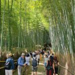 Kyoto: Customizable 4-Hour World Heritage Sites Tour - Who Would Love This Tour?