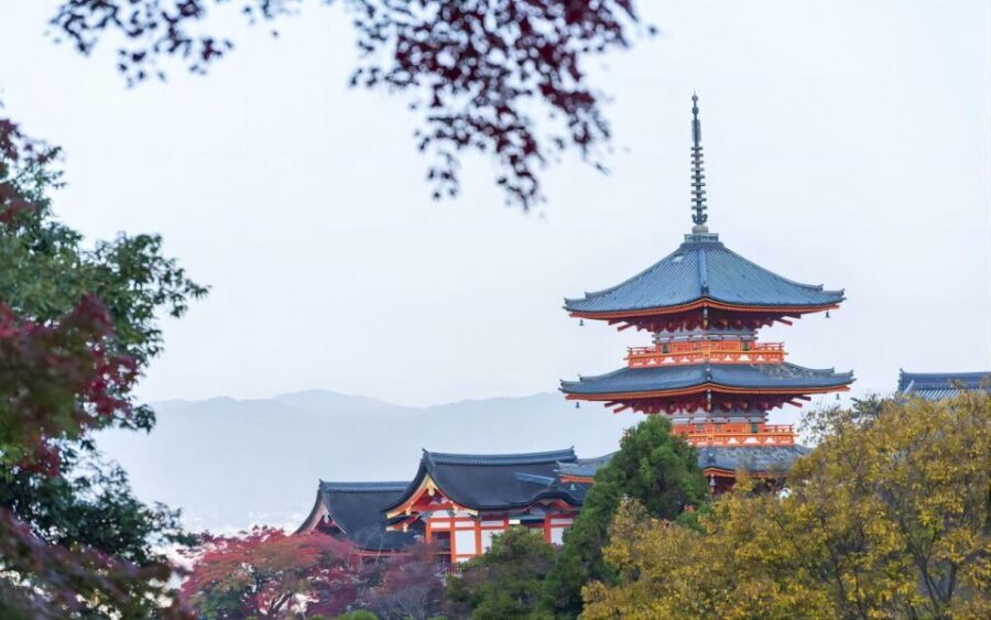 Kyoto: Customizable Full-Day Tour with Privarte Transfers - Detailed Breakdown of the Experience