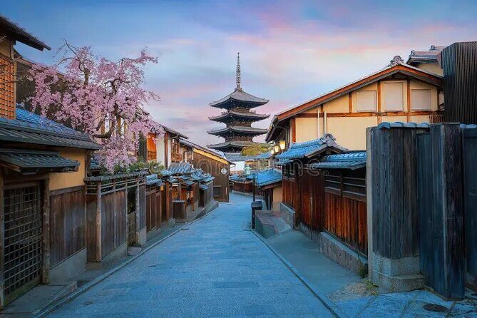 Kyoto Customized Private Tour with English Driver & Hotel Pickup - Who Will Enjoy This Tour?